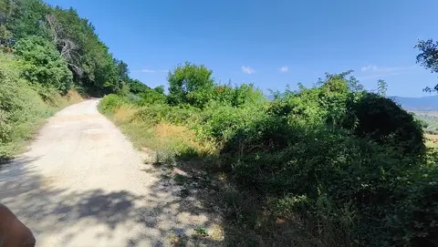 Terreno all'asta a Montefalco (PG)