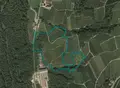 Terreno all'asta a Ton (TN)