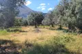 Terreno all'asta a Partinico (PA)
