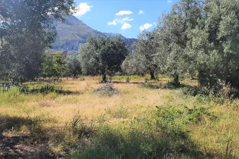 Terreno all'asta a Partinico (PA)