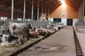 Terreno all'asta a Sauze di Cesana (TO)