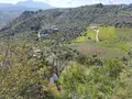 Terreno all'asta a Misilmeri (PA)