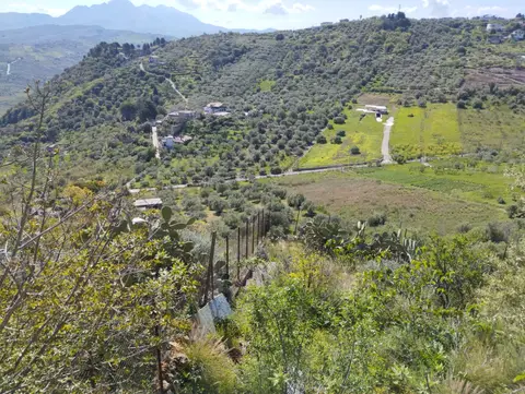 Terreno all'asta a Misilmeri (PA)