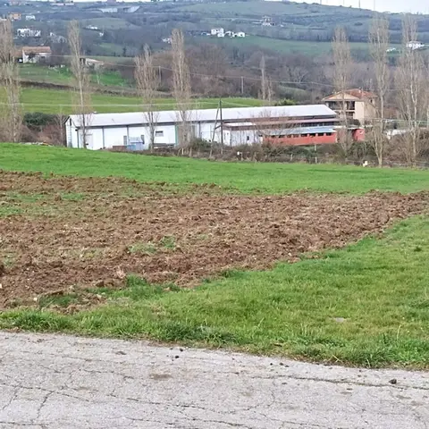 Opificio Industriale all'asta a Picerno (PZ)