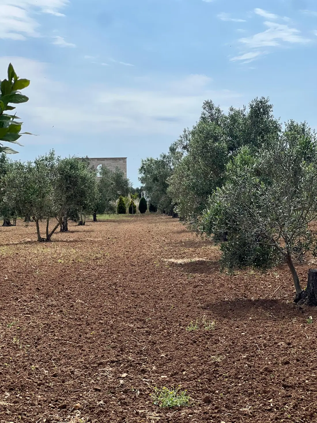 Terreno · Nardò