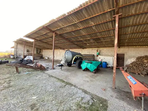 Tettoie Chiuse O Aperte all'asta a Martinengo (BG)