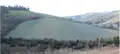 Terreno all'asta a Castrocaro Terme e Terra del Sole (FC)