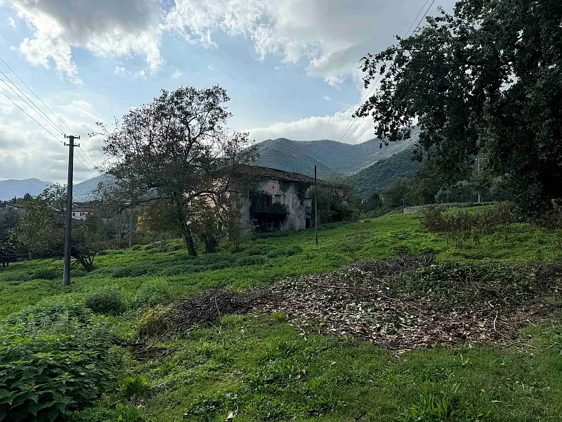 Terreno · Morolo