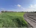 Terreno all'asta a Cellino San Marco (BR)