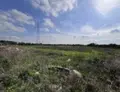 Terreno all'asta a San Donaci (BR)
