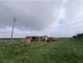 Terreno all'asta a San Pietro Vernotico (BR)