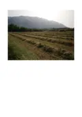 Terreno all'asta a Morolo (FR)
