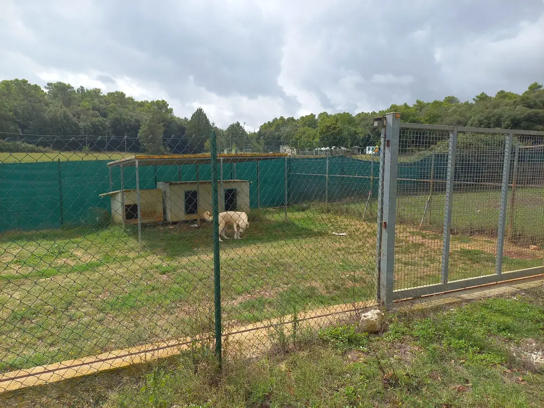 Fabbricati Costruiti Per Esigenze Industriali · Narni