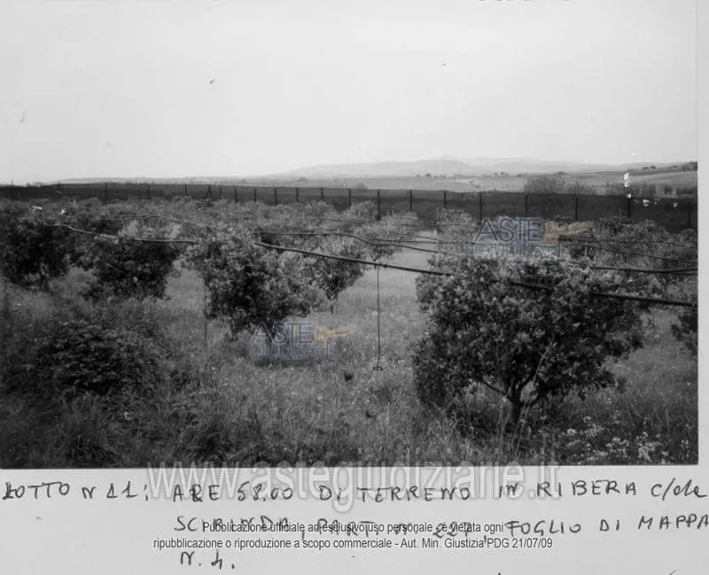 Terreno · Ribera