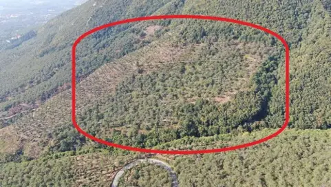 Terreno · Serino