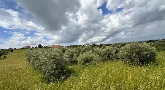 Terreno · Ciampino
