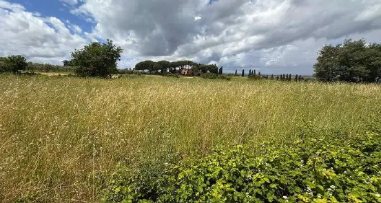 Terreno · Marino