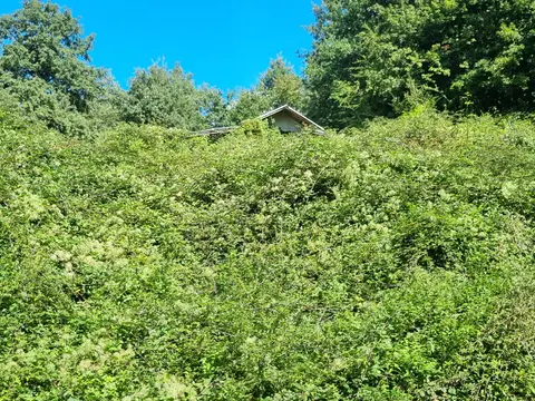 Terreno all'asta a Filattiera (MS)
