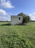 Terreno all'asta a San Donaci (BR)