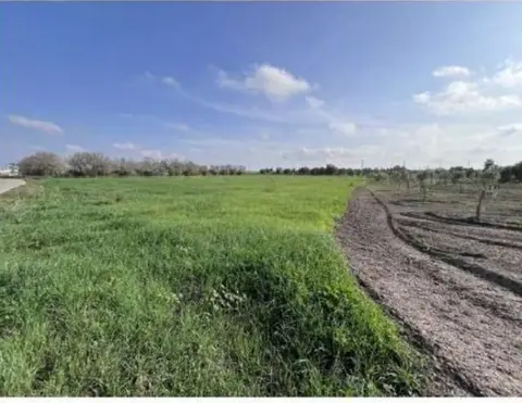Terreno all'asta a Cellino San Marco (BR)