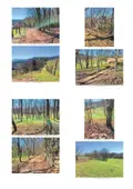 Terreno all'asta a Monte di Malo (VI)