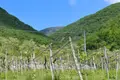 Terreno all'asta a Fumane (VR)