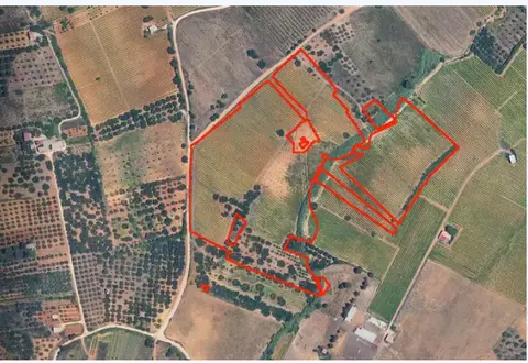 Terreno all'asta a Partinico (PA)