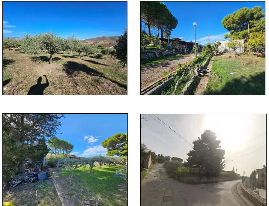 Terreno · Cerda
