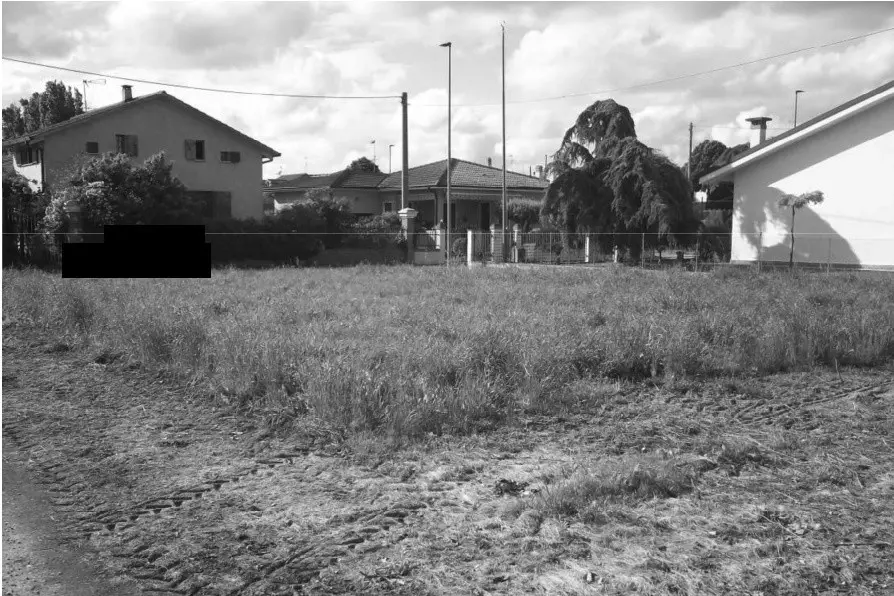Terreno · Frassinelle Polesine