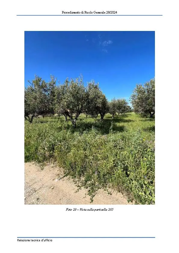 Terreno · Trapani