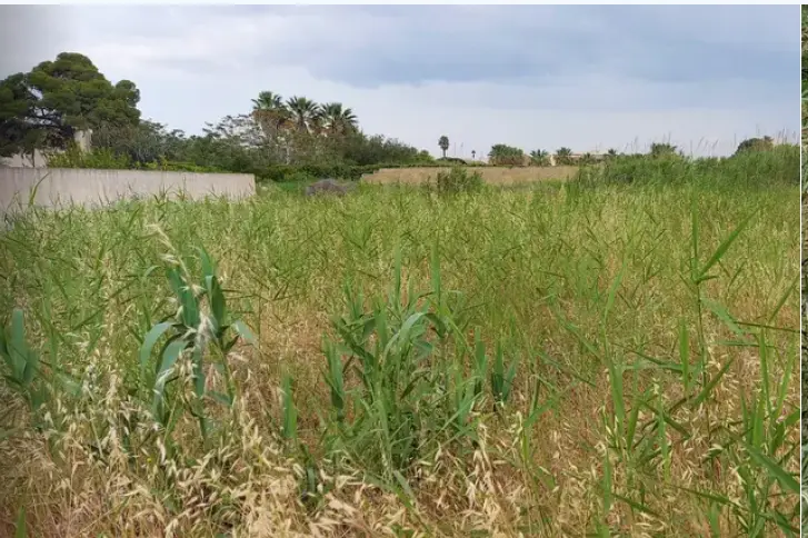 Terreno · Marsala