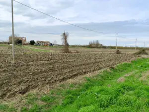 Terreno · Canaro