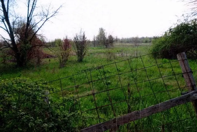 Terreno · Nonantola