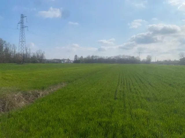 Terreno · Quarto d'Altino
