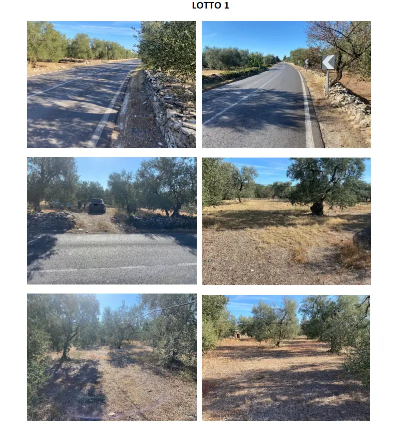 Terreno · Molfetta
