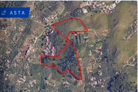 Terreno · Monreale