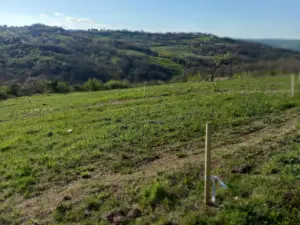 Terreno · Busso