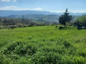 Terreno · Busso
