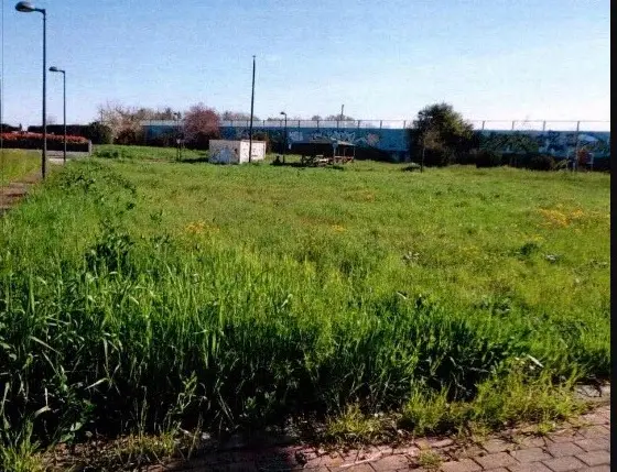 Terreno · Soliera