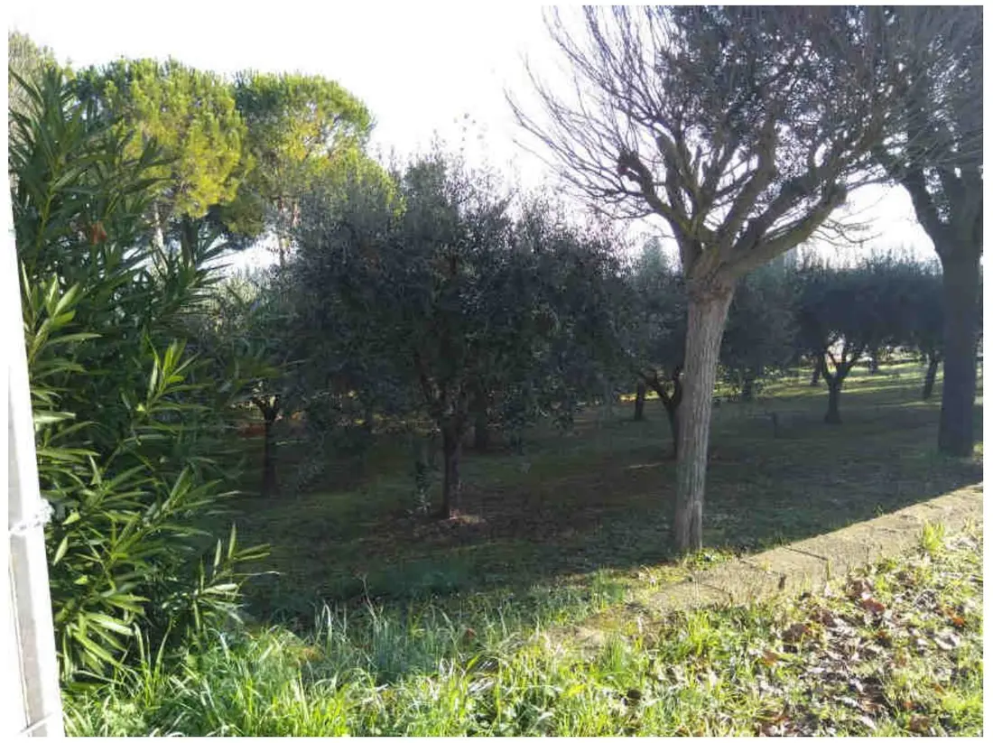 Terreno · Sant'Elpidio a Mare