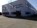 Opifici all'asta a San Marco Argentano (CS)