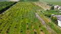Terreno all'asta a Villadose (RO)