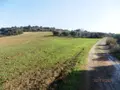 Terreno all'asta a Montescaglioso (MT)