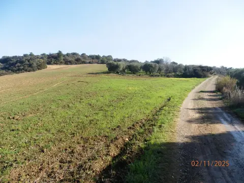 Terreno all'asta a Montescaglioso (MT)