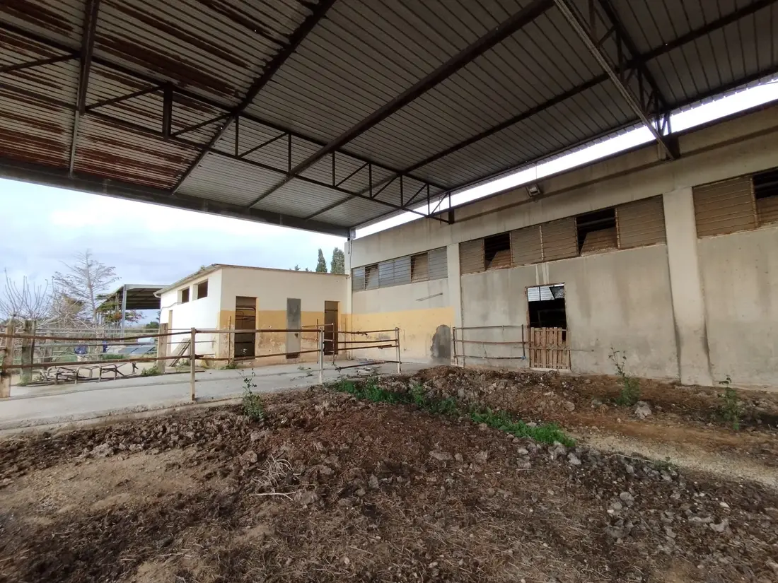 Stalle, Scuderie, Rimesse, Autorimesse · Alessano