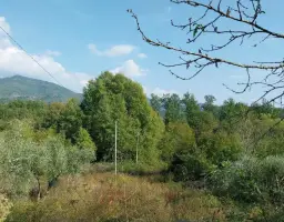 Terreno · Bagnone