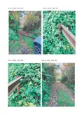 Terreno all'asta a Giugliano in Campania (NA)