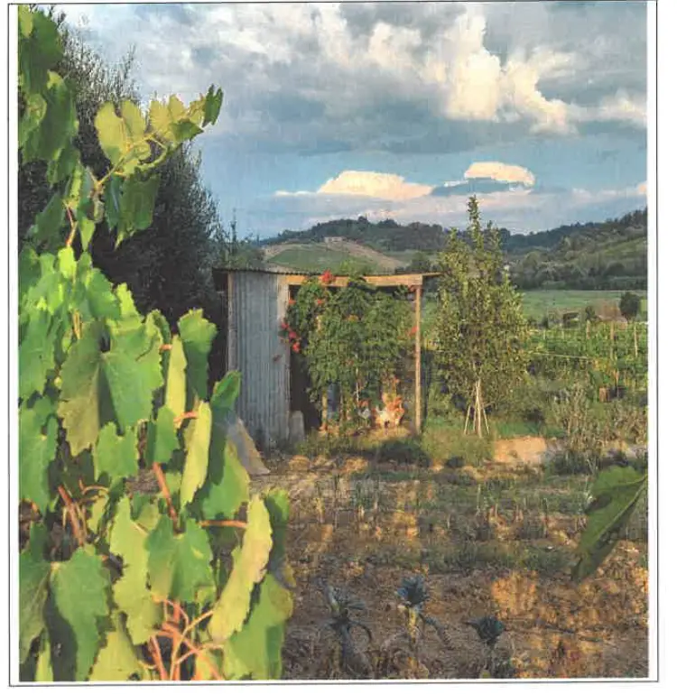 Terreno · San Miniato