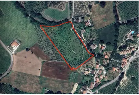 Terreno all'asta a Montefalco (PG)