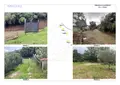Terreno all'asta a Ispani (SA)